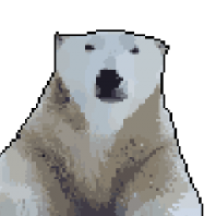 icebear